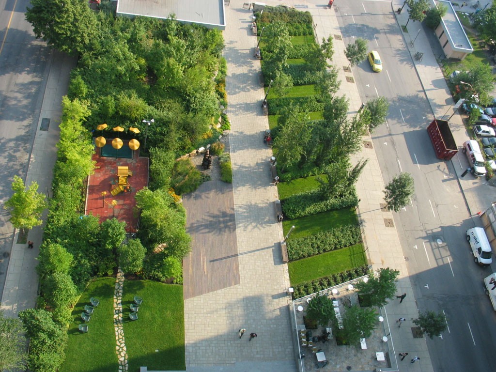 Hortas comunitárias: uma tendência que vem mudando o espaço urbano. foto: reprodução width=