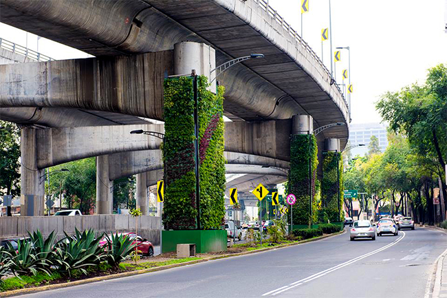 Jardins verticais tomam conta de um viaduto no México