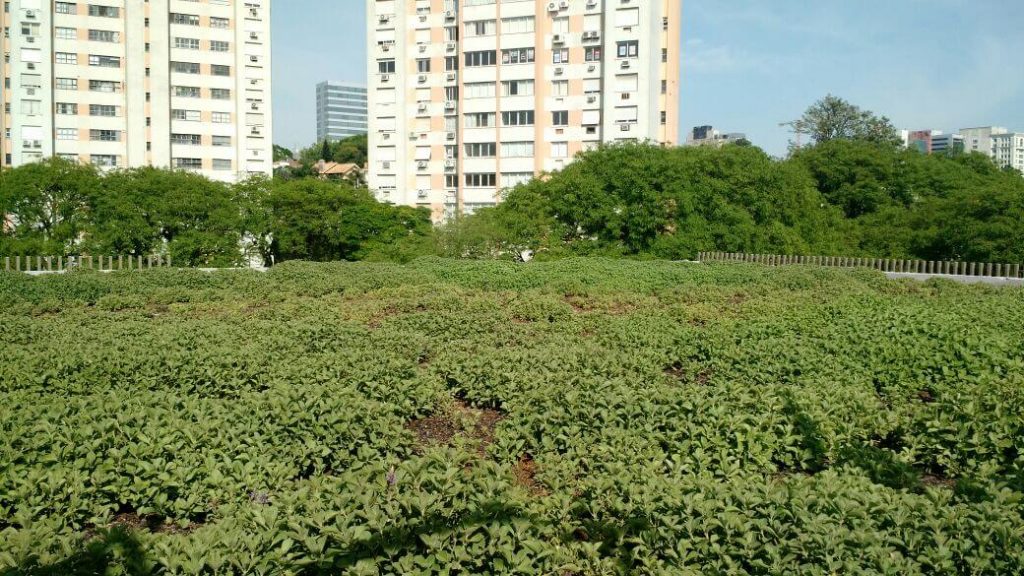 Projeto de expansão da Unisinos investe em opções sustentáveis - teto verde