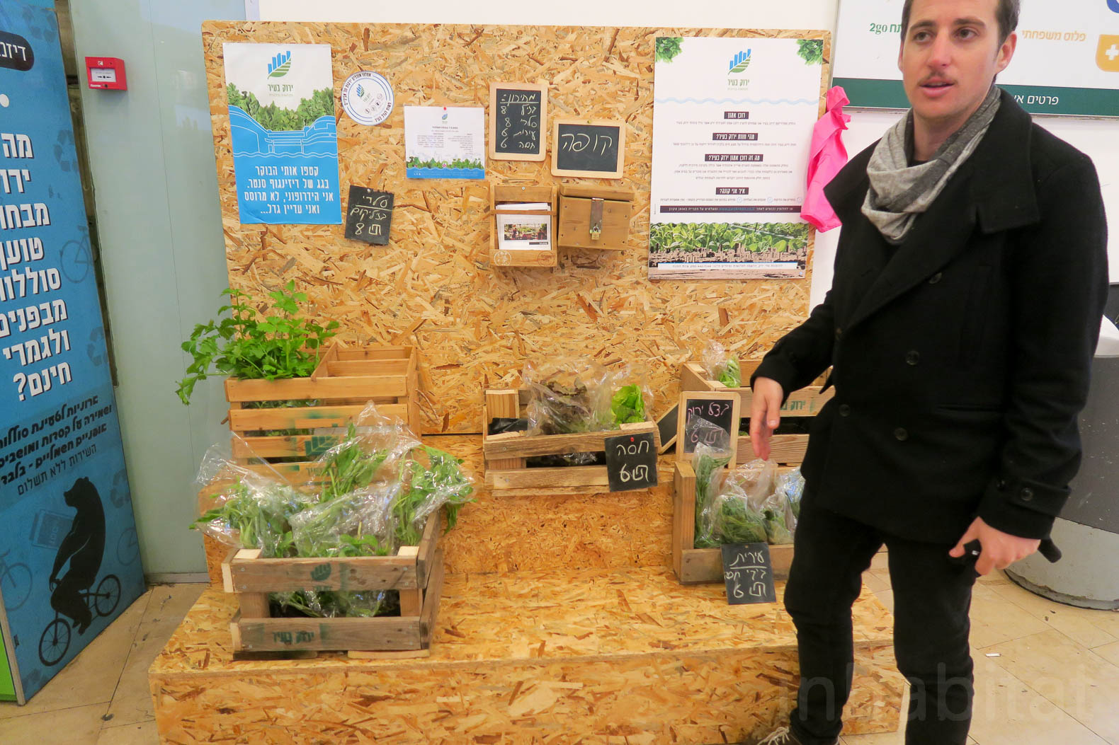 Green-in-the-City-Tel-Aviv-Rooftop-Farm-21